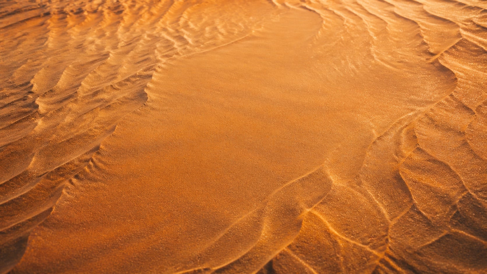 Warm evening light across rippled golden sand